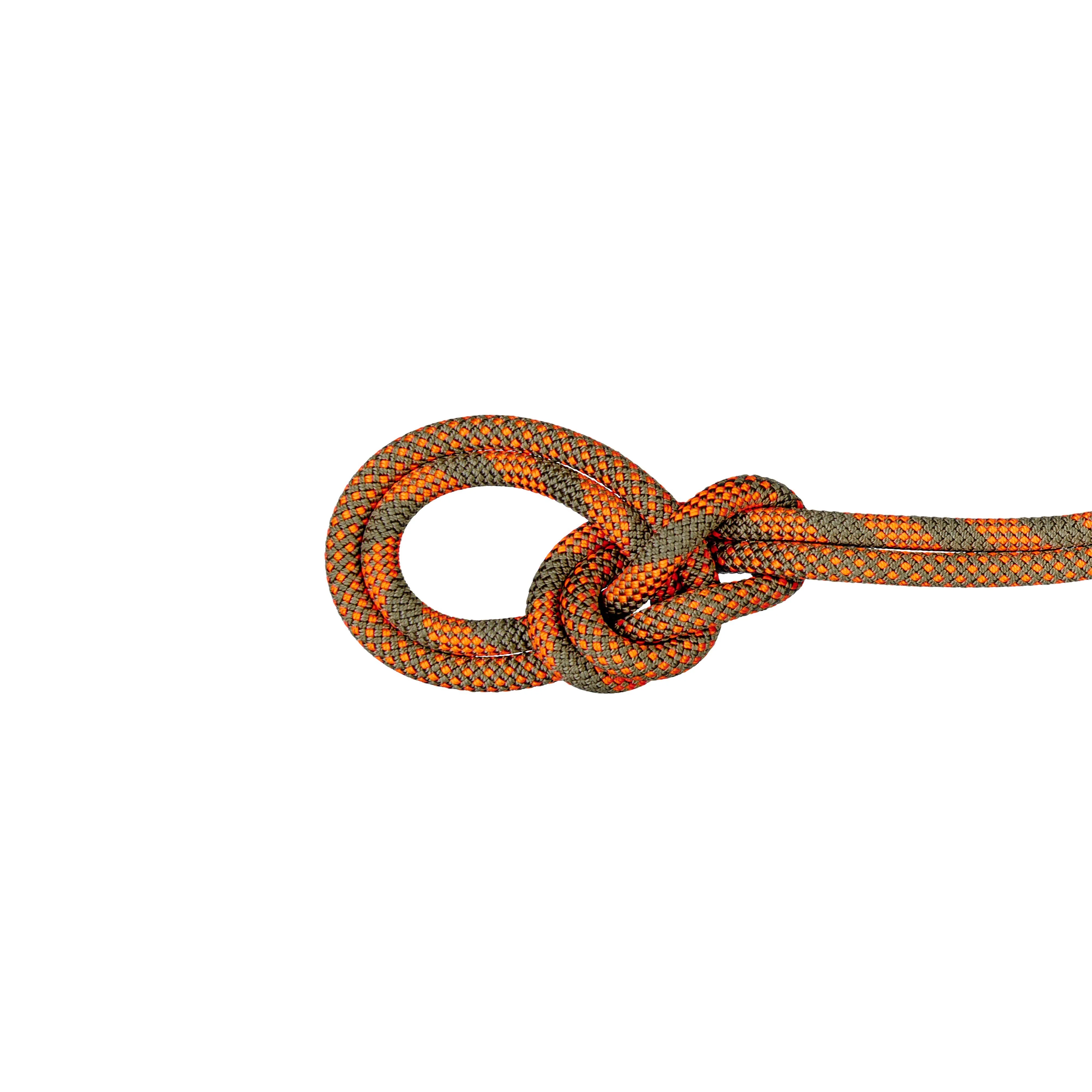 9.5 Crag Dry Rope - Duodess - Image 4